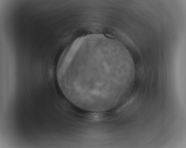 X0000102010088200808011152