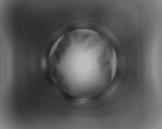 X0000102010089200808011152