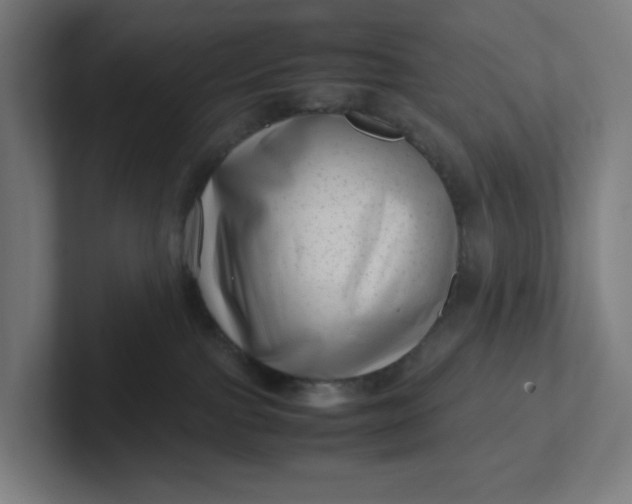 X0000102010091200808011152