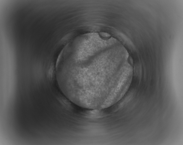 X0000102010092200808011152