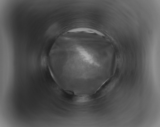 X0000102010093200808011152