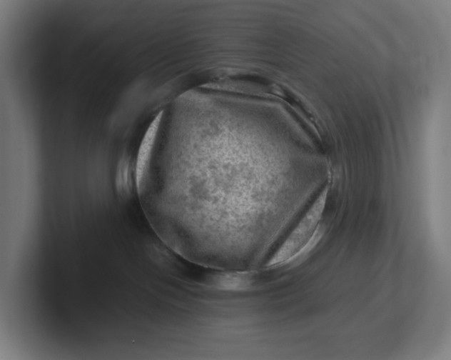 X0000102010094200808011152