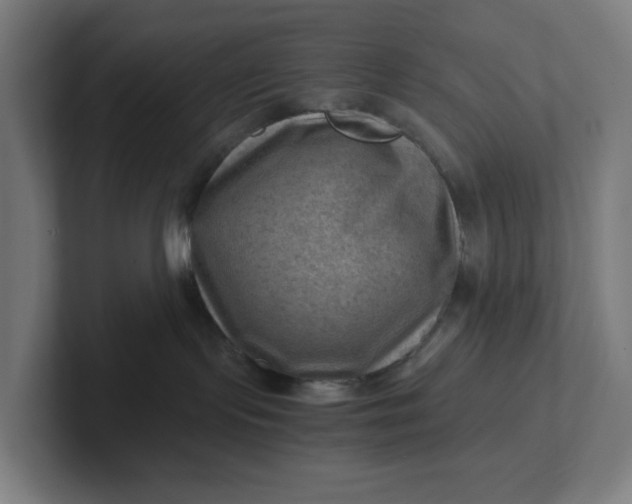 X0000102010095200808011152