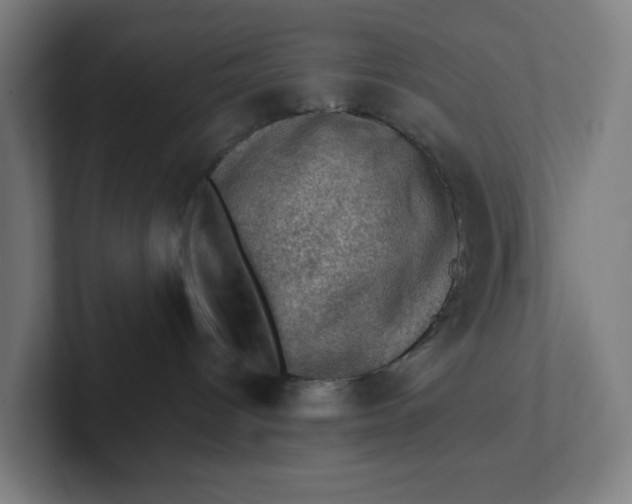 X0000102010096200808011152