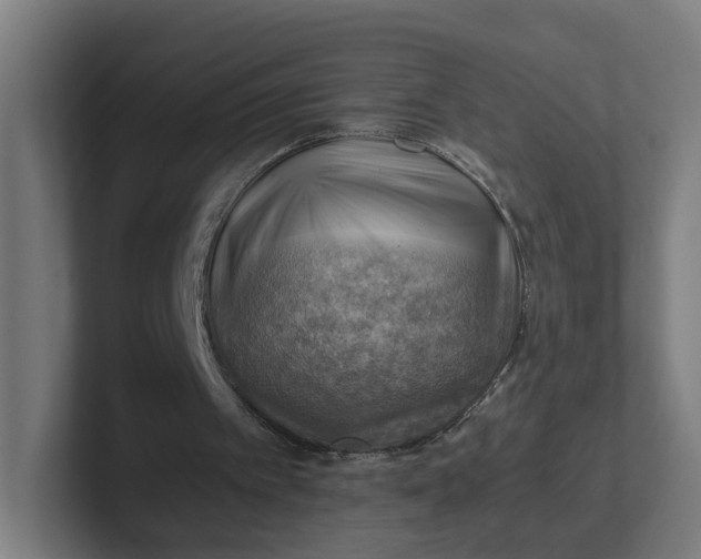 X0000102010097200808011151