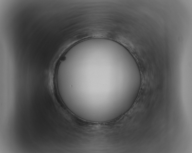 X0000102010098200808011151