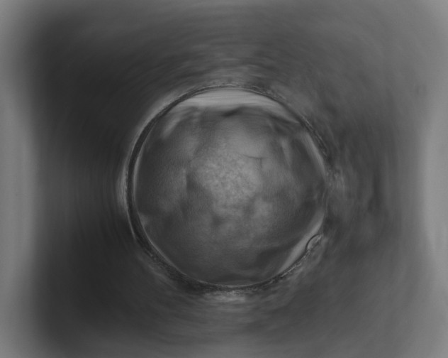 X0000102010100200808011151