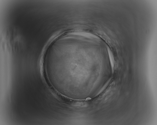 X0000102010101200808011151