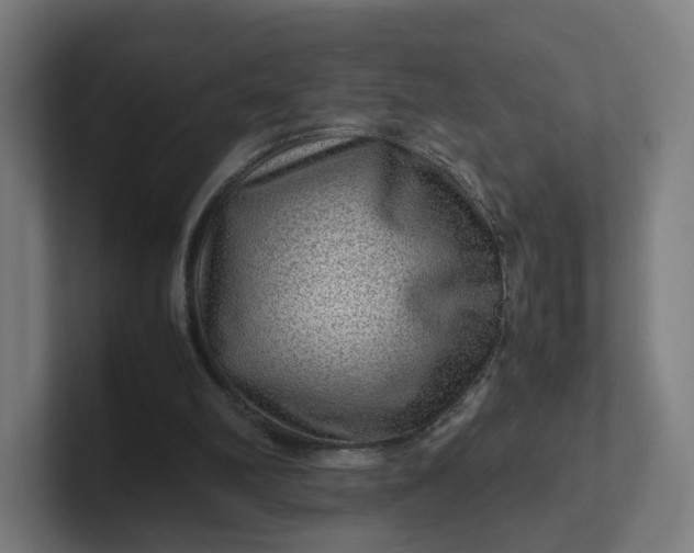 X0000102010102200808011151