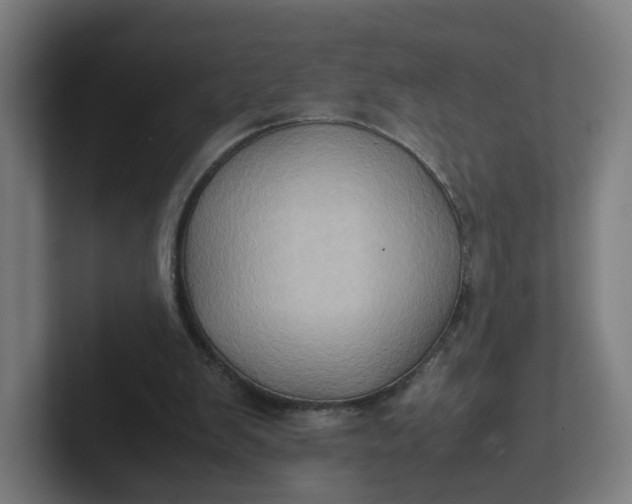 X0000102010103200808011151