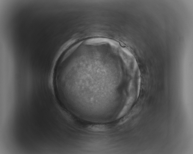 X0000102010104200808011151