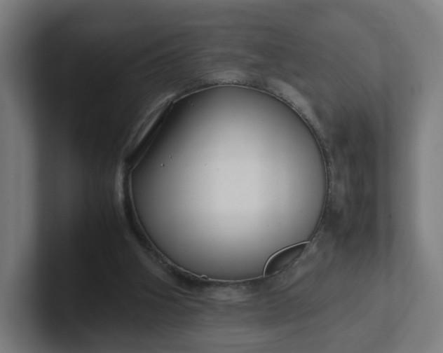 X0000102010106200808011151