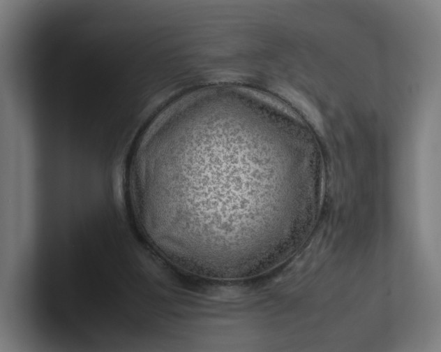 X0000102010107200808011151