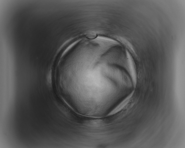 X0000102010108200808011151