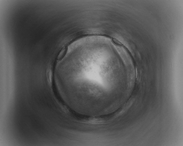 X0000102010109200808011151