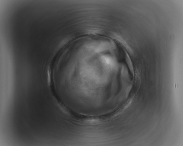 X0000102010110200808011151