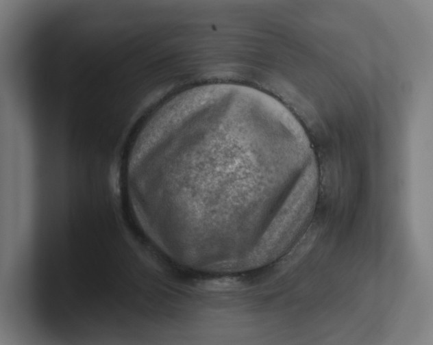 X0000102010112200808011151