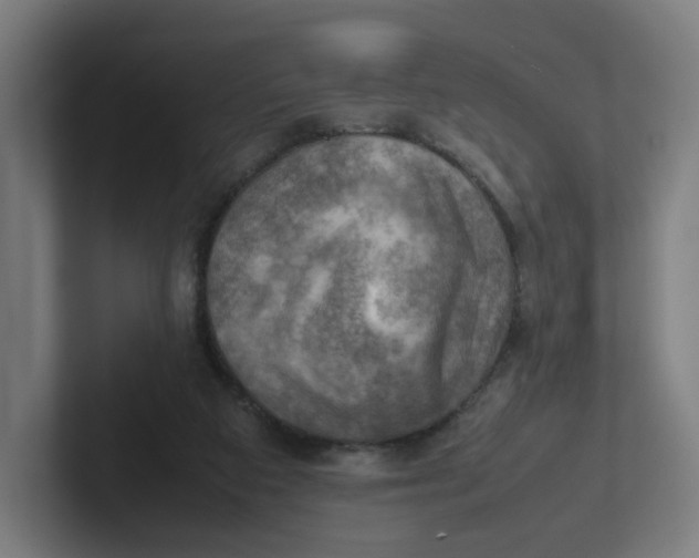 X0000102010113200808011151