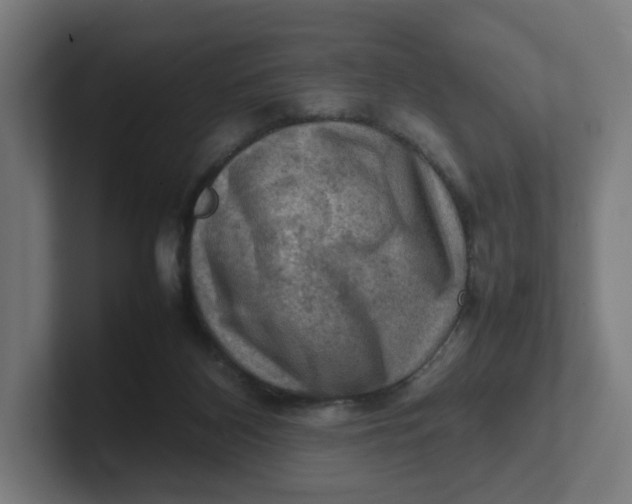 X0000102010116200808011151