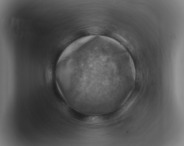 X0000102010117200808011151