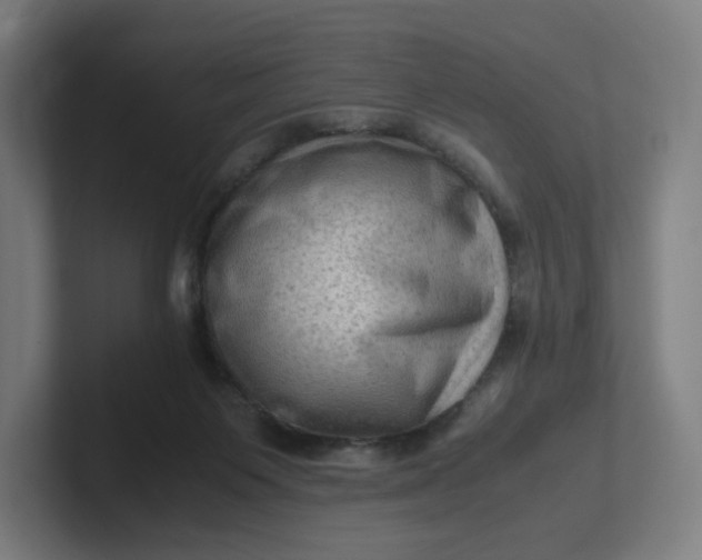 X0000102010119200808011151