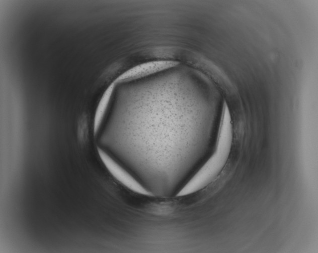 X0000102010120200808011151