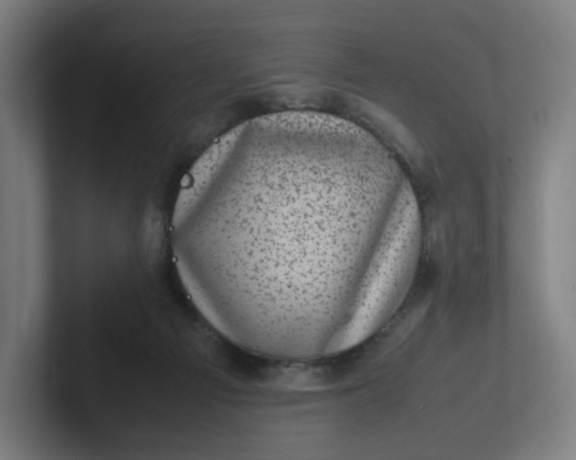 X0000102010121200808011151