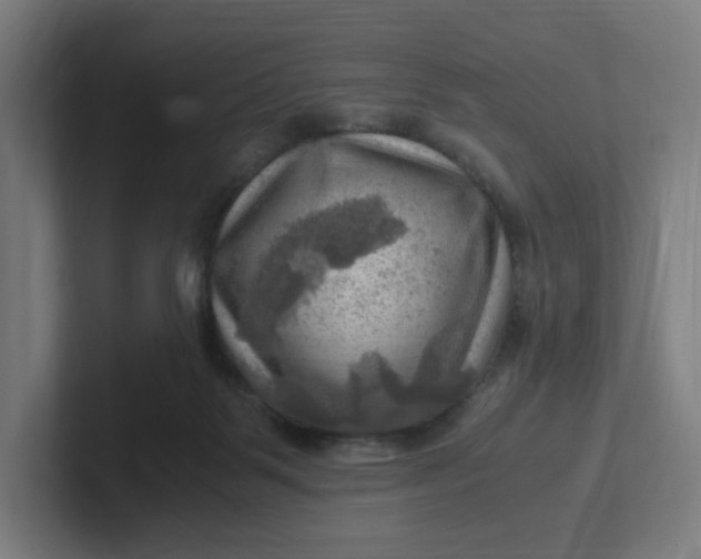 X0000102010123200808011151