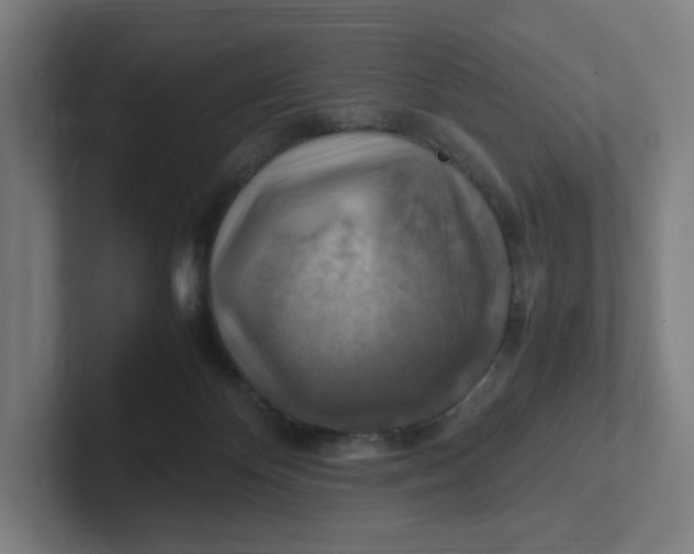 X0000102010124200808011151