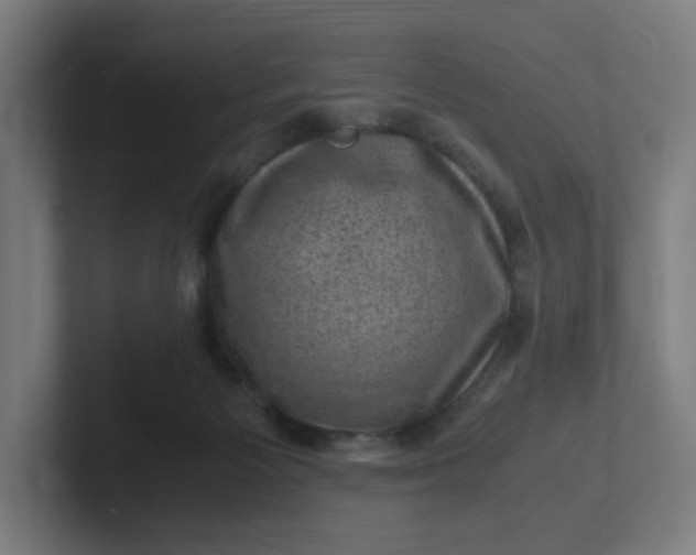 X0000102010125200808011151