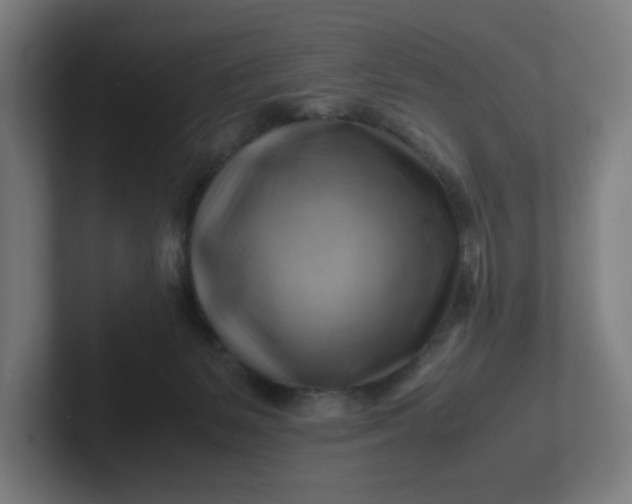 X0000102010127200808011151