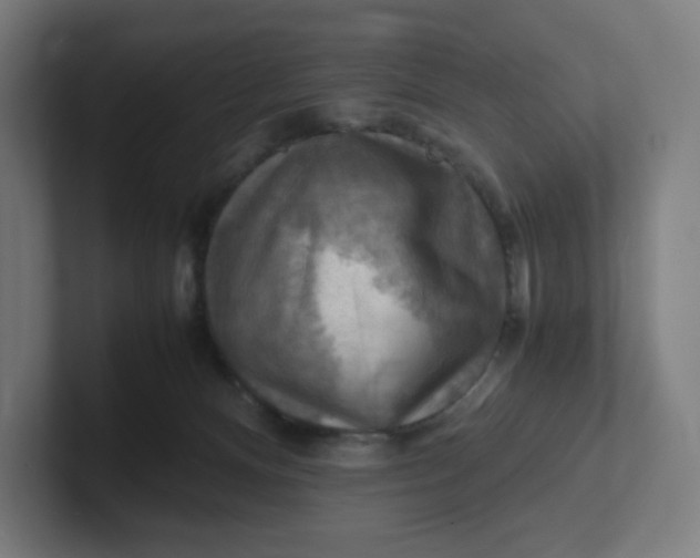 X0000102010128200808011151