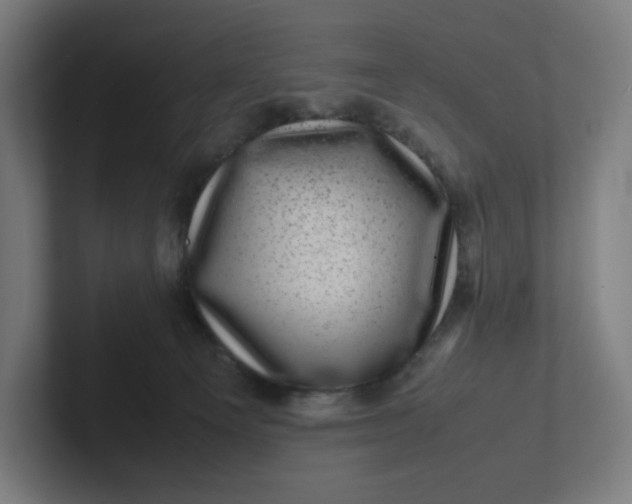 X0000102010129200808011151