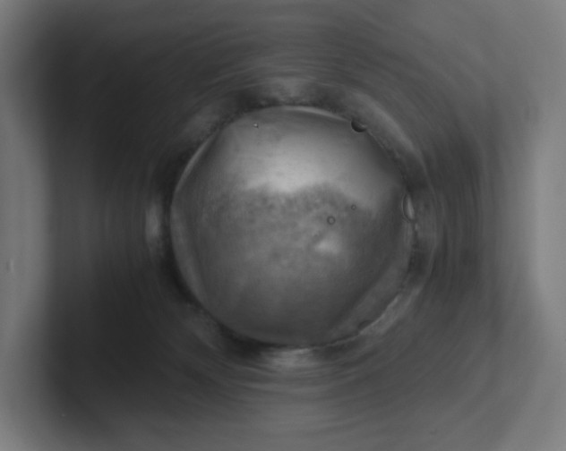 X0000102010132200808011151