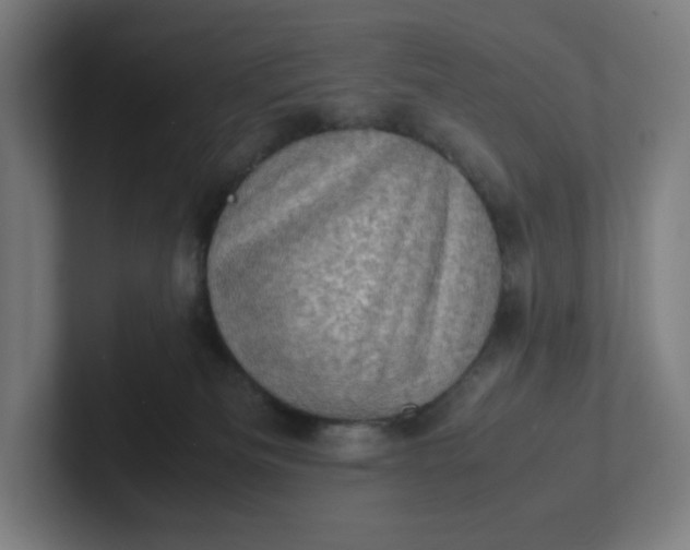 X0000102010133200808011151