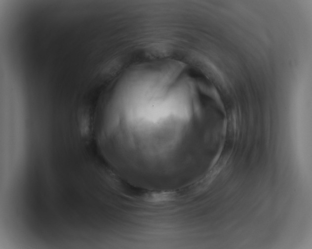 X0000102010134200808011151