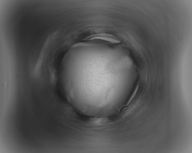 X0000102010135200808011151