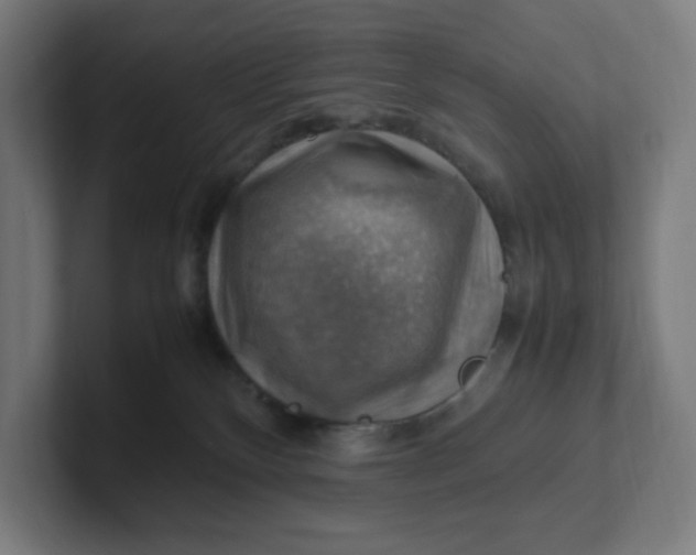 X0000102010136200808011151