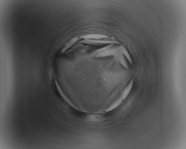 X0000102010137200808011151