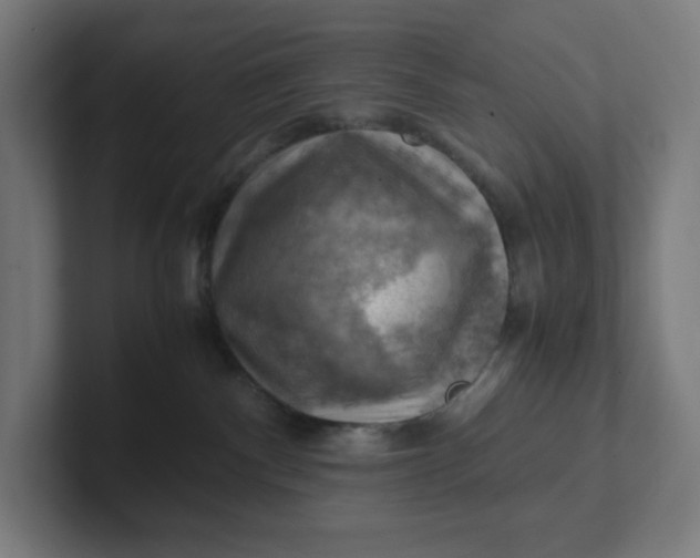 X0000102010140200808011151