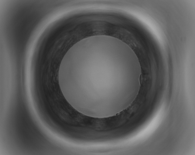 X0000102010143200808011151