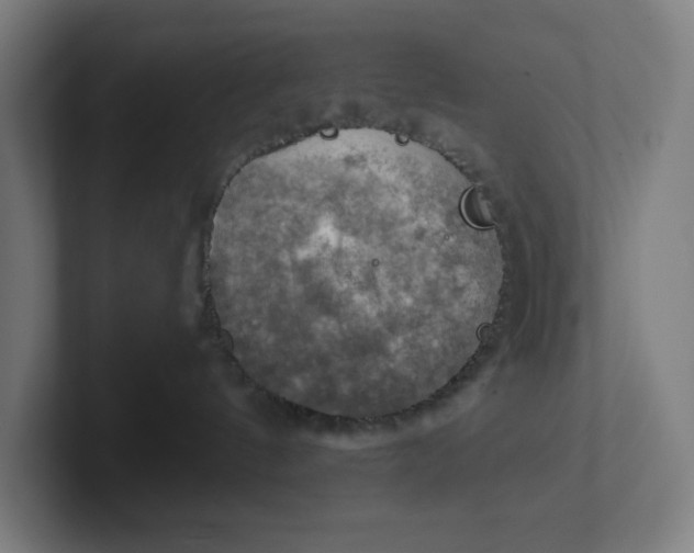 X0000102010144200808011151