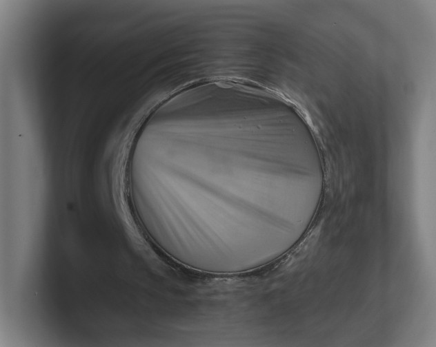 X0000102010145200808011150