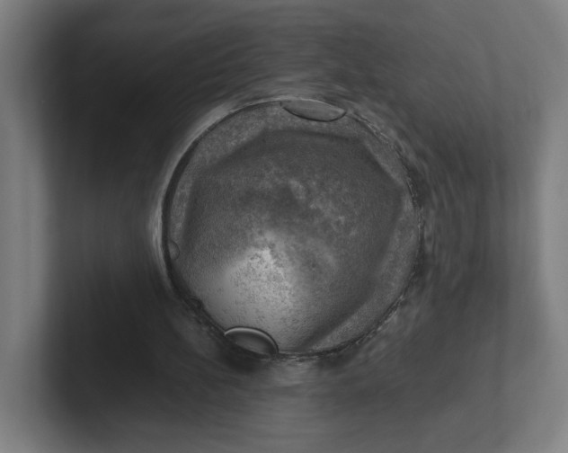 X0000102010148200808011150