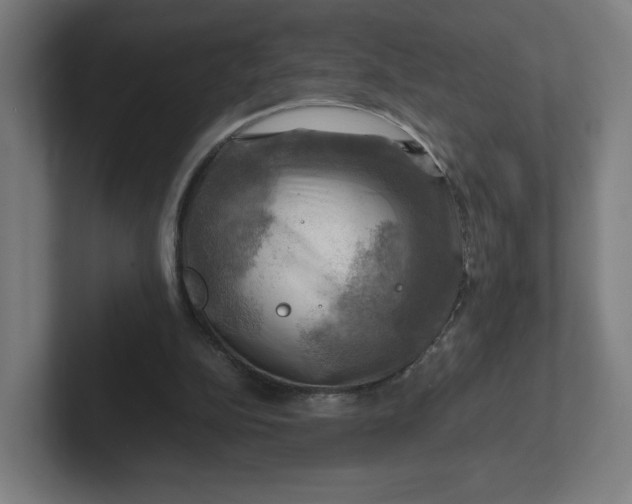 X0000102010152200808011150