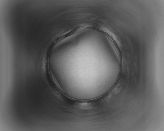 X0000102010153200808011150