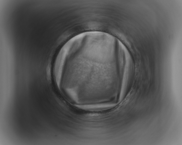 X0000102010154200808011150