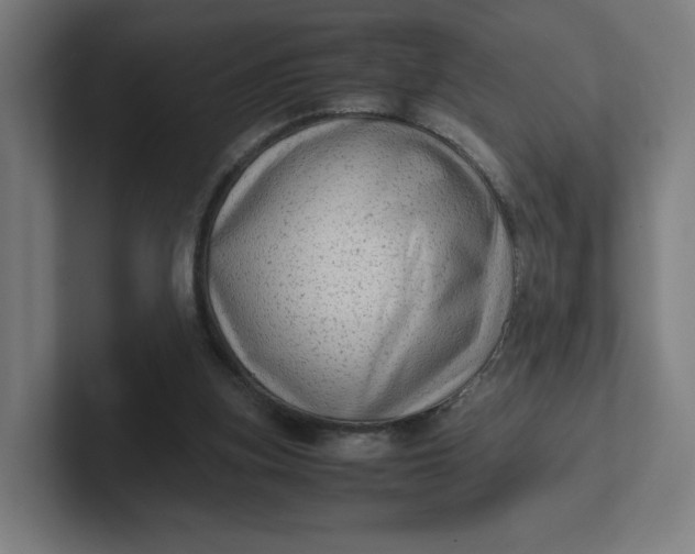 X0000102010155200808011150