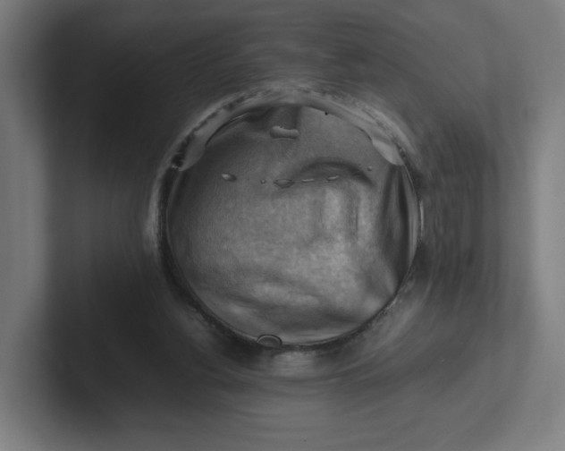 X0000102010156200808011150