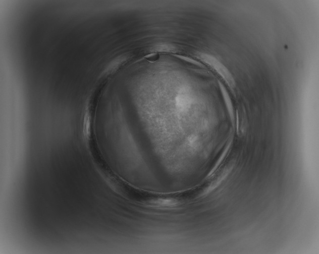 X0000102010157200808011150